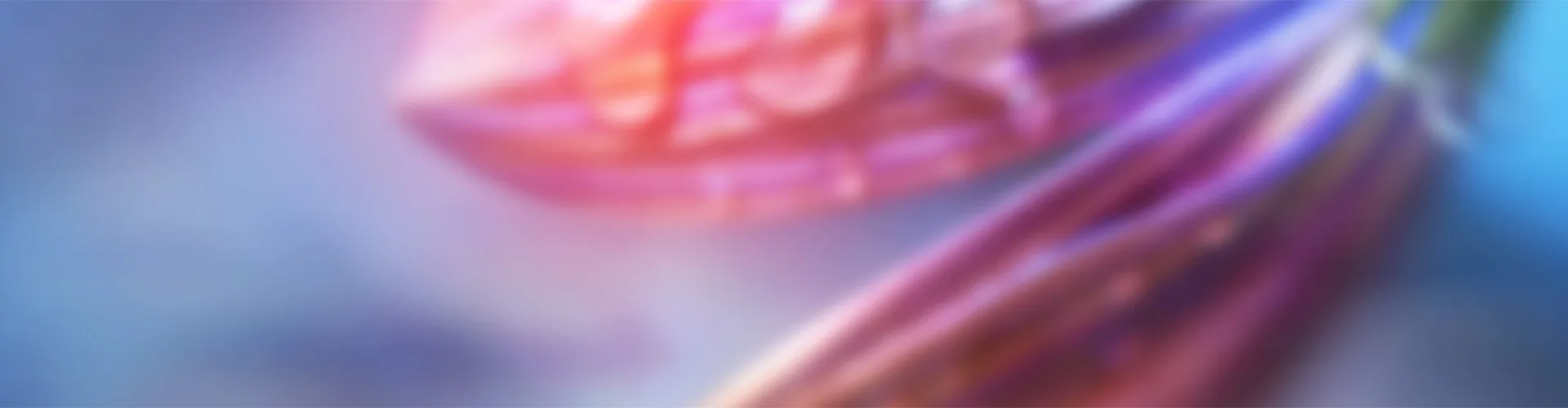 狗子28